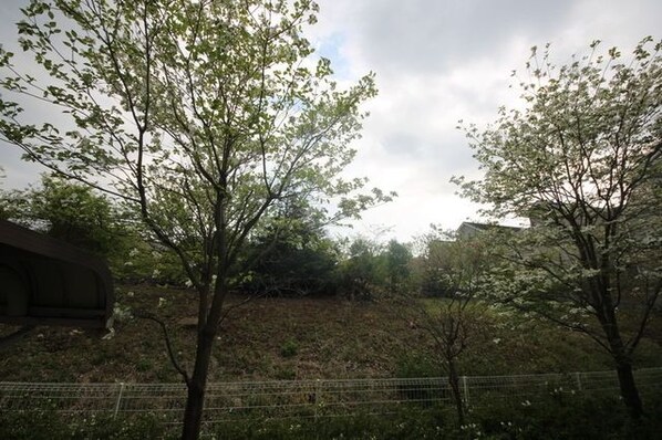 レオパレスSHIROYAMAIVの物件内観写真